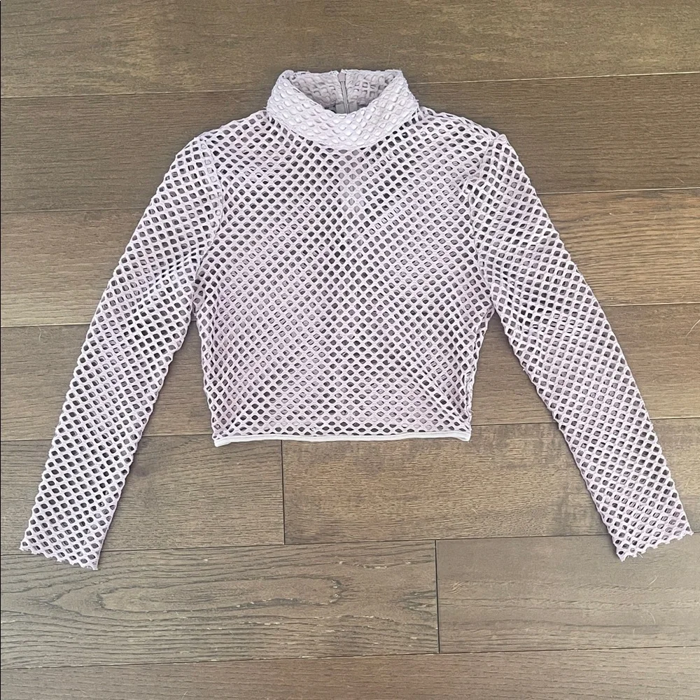 Mauve Mesh Long-Sleeve Crop Top with Mock Neck